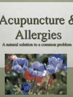 Screen Shot 2023-03-14 at 11.52.58 AM